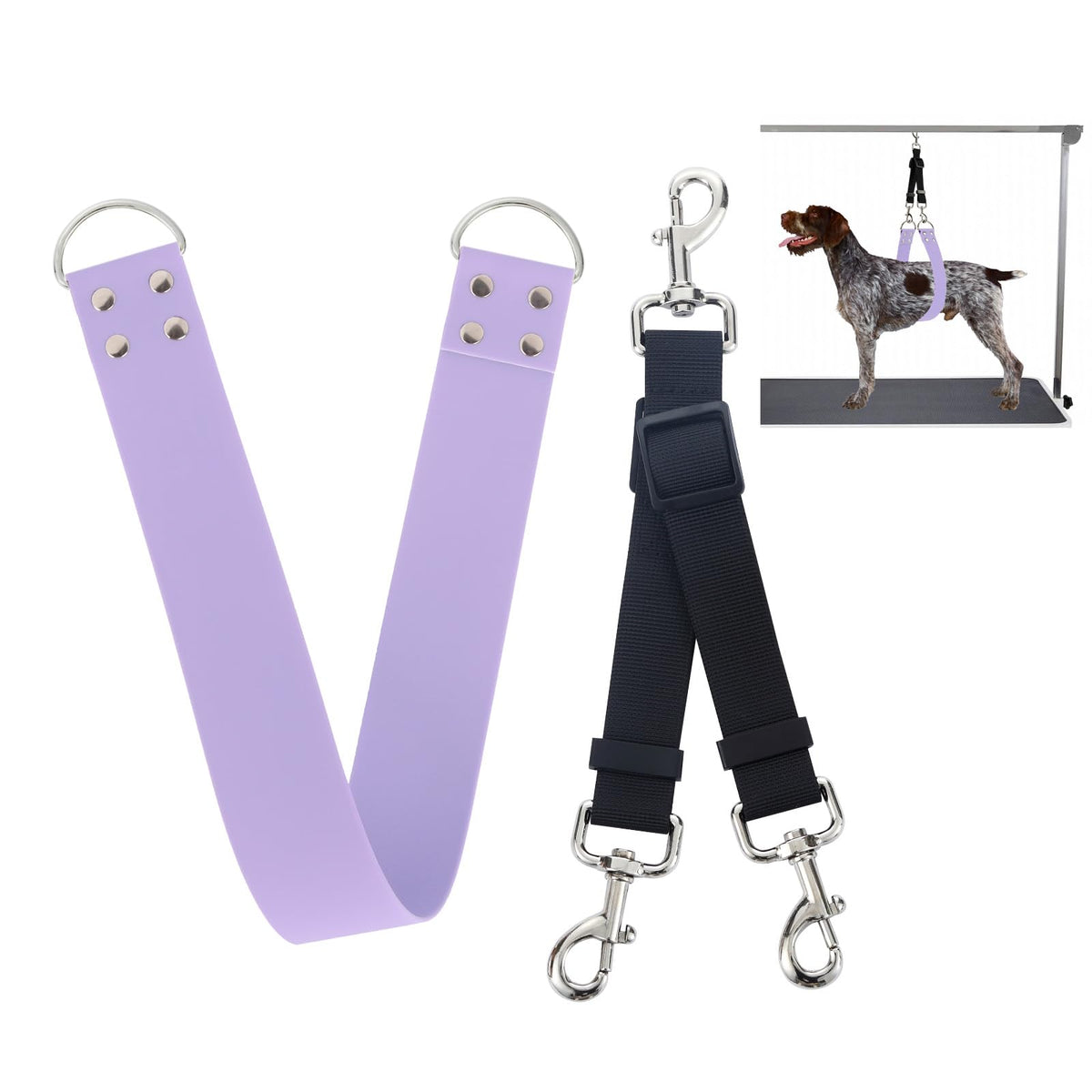 DISCPETSEC cinturon barriga impermeable de 2 pulgadas para baño y aseo