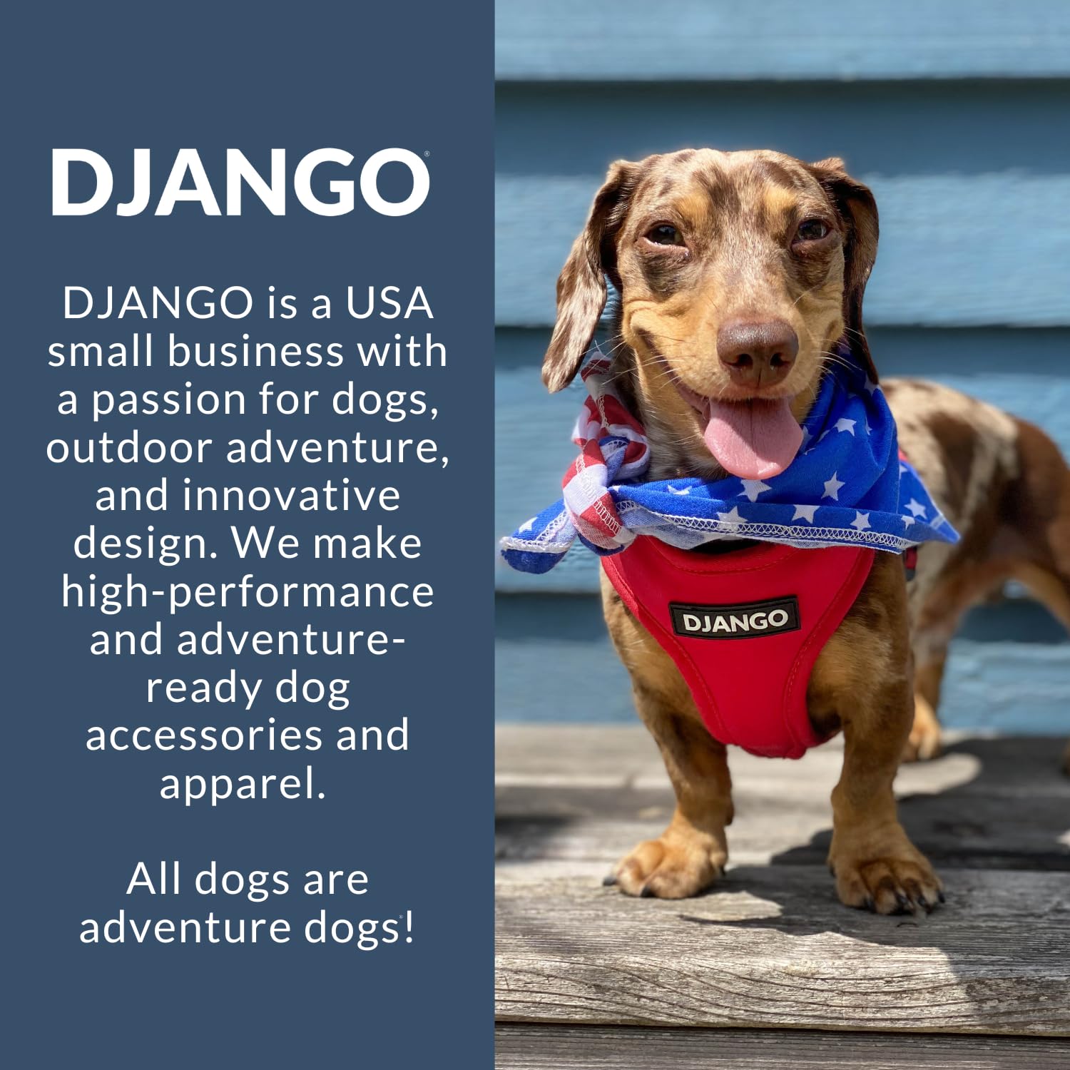 DJANGO Aventura diseño ligero para caminar sin cargar al perro.