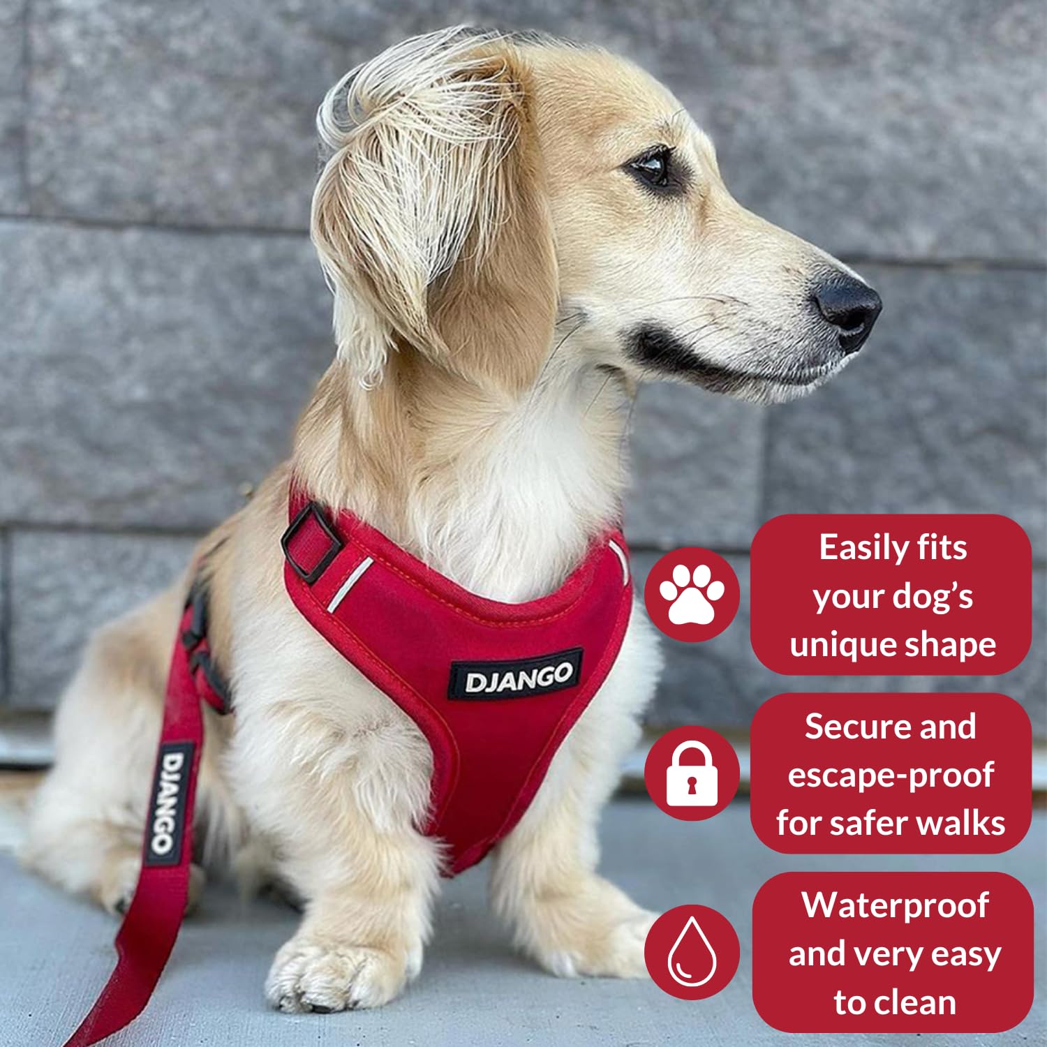 Arnés DJANGO Aventura para perro mediano visto de lateral, ajuste y estilo en cada salida.