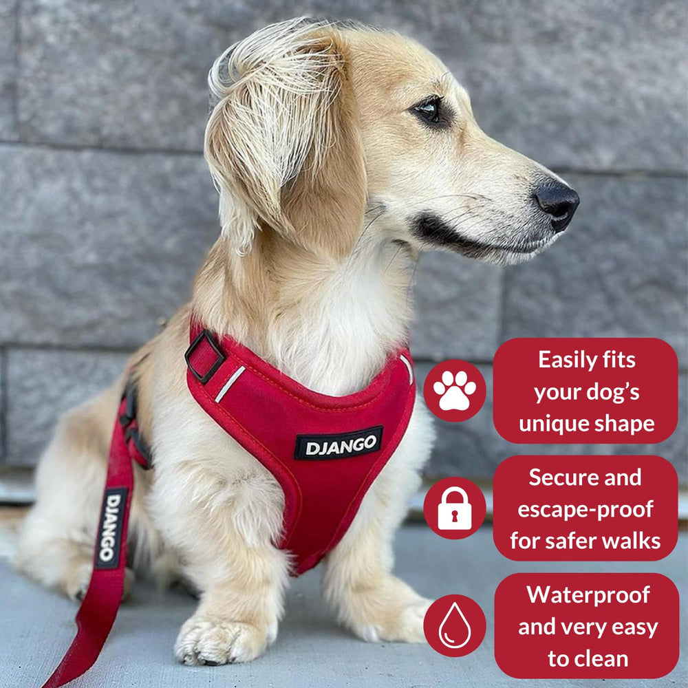 Arnés DJANGO Aventura para perro mediano visto de lateral, ajuste y estilo en cada salida.