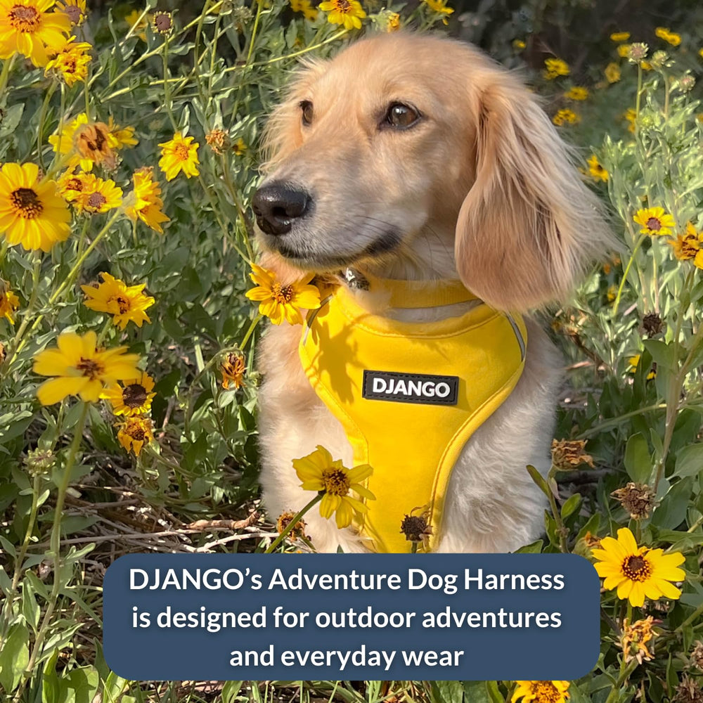 DJANGO Aventura uso diario cómodo para paseos y ciudades.