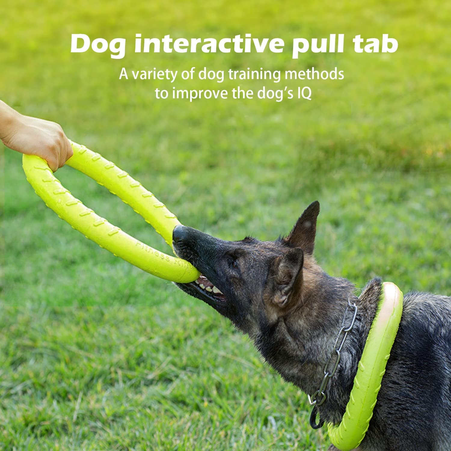 DLDER disco ligero para entrenamiento canino, mejora respuestas y coordinación.