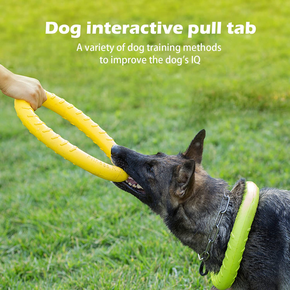 DLDER XL juguete de entrenamiento para perros, fomenta respuestas rápidas y diversión