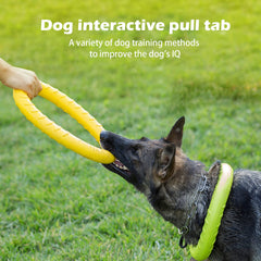DLDER XL juguete de entrenamiento para perros, fomenta respuestas rápidas y diversión