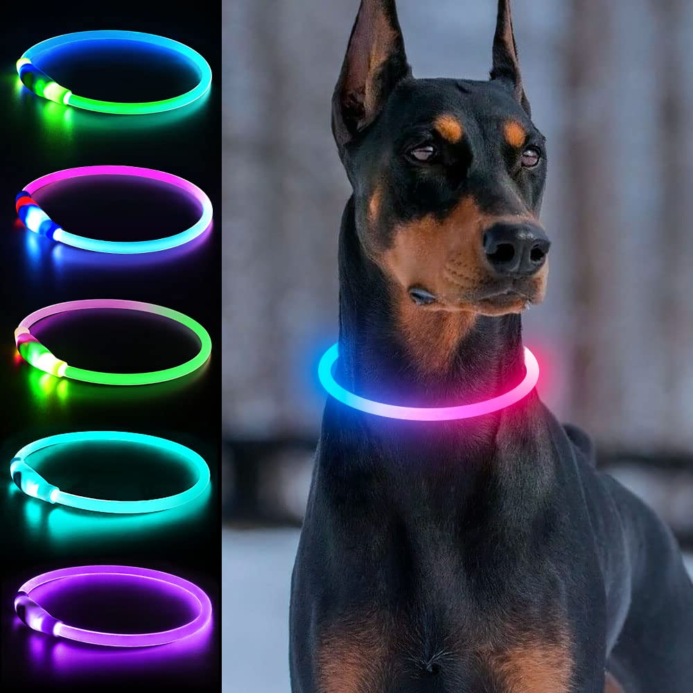 Collar LED Dlitk para perros en azul y rosa con visibilidad nocturna.