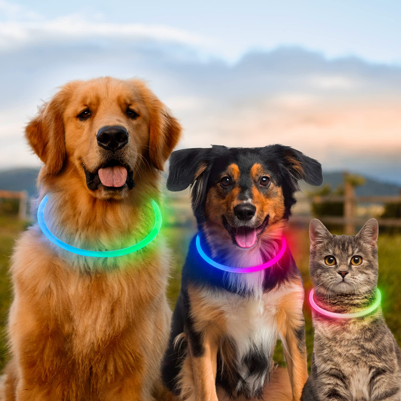 Collar LED Dlitk duradero para uso diario al aire libre.