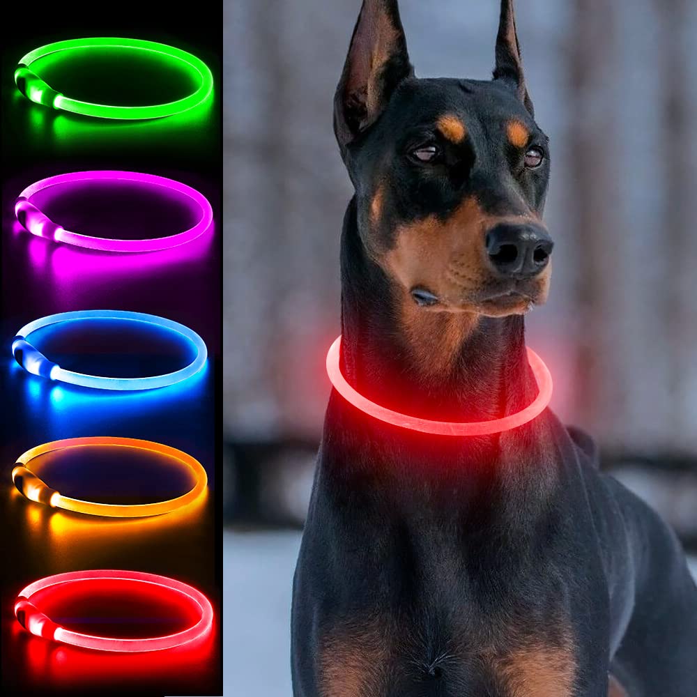 Dlitk collar LED 360 para perros, visibilidad nocturna para paseos seguros.