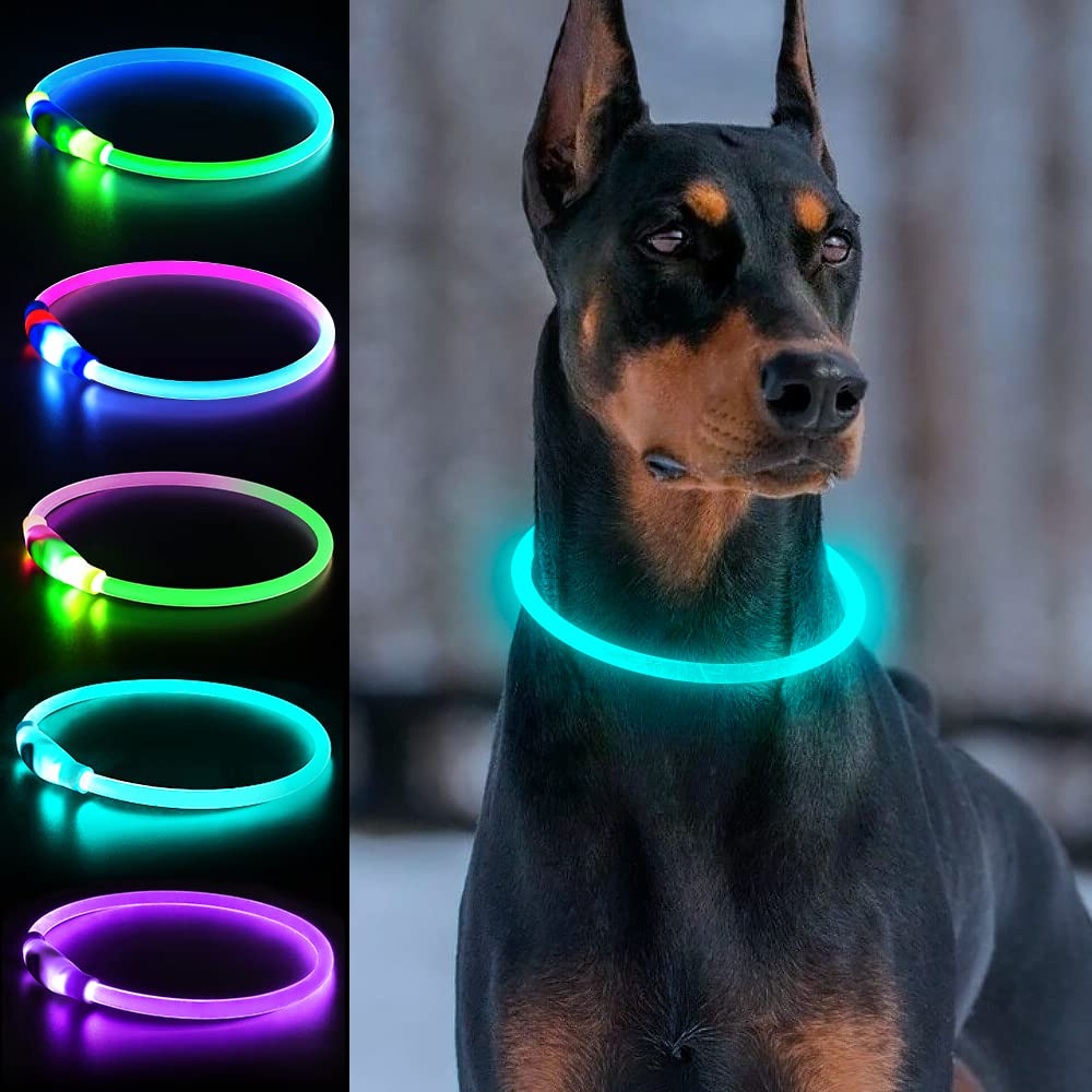 Collar LED DLITK para perros en color cian mejora la localización nocturna