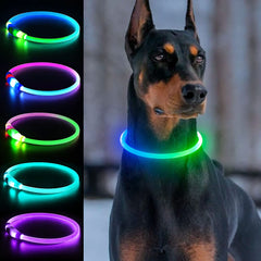 Collar LED Dlitk USB recargable ilumina la noche para ubicar al perro