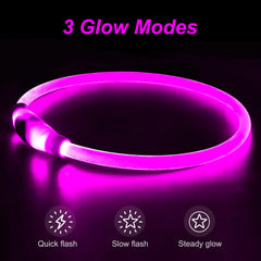 Collar Dlitk LED 360° para perros, facilita localización en la oscuridad