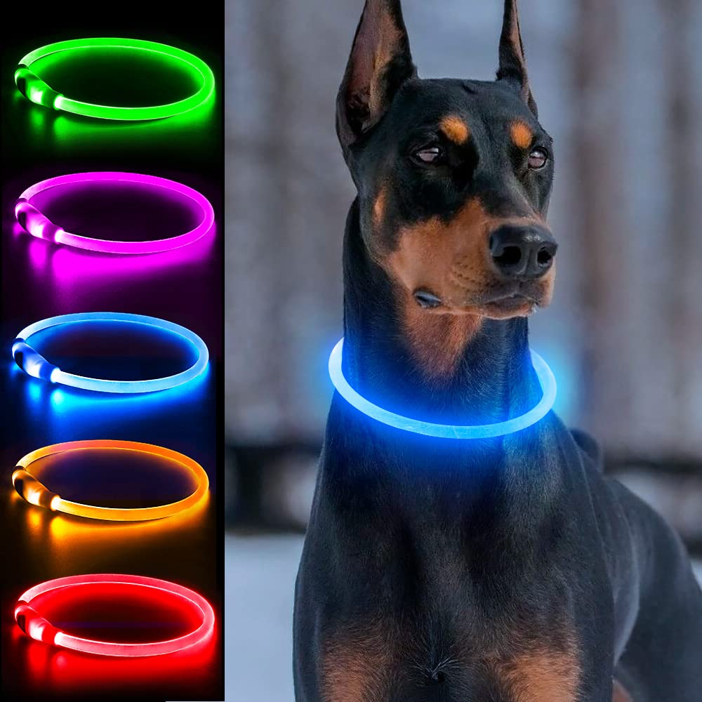 Collar luminoso para perros Dlitk con LED 360 para mayor visibilidad nocturna.