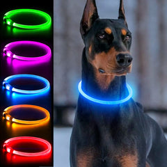 Collar luminoso para perros Dlitk con LED 360 para mayor visibilidad nocturna.