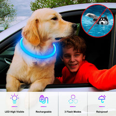 Collar Dlitk con modos de iluminación, mejora reconocimiento en oscuridad.
