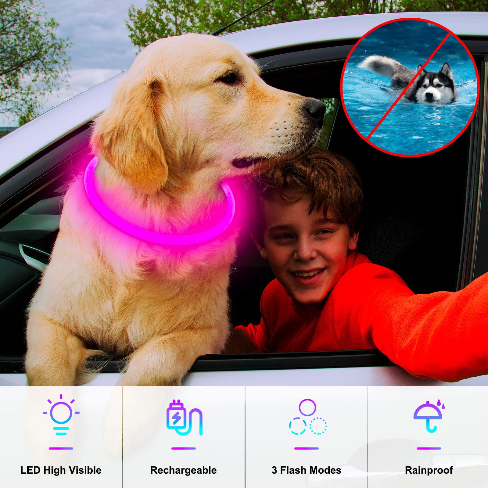 Uso ligero, no apto para nadar, protege la batería del collar Dlitk
