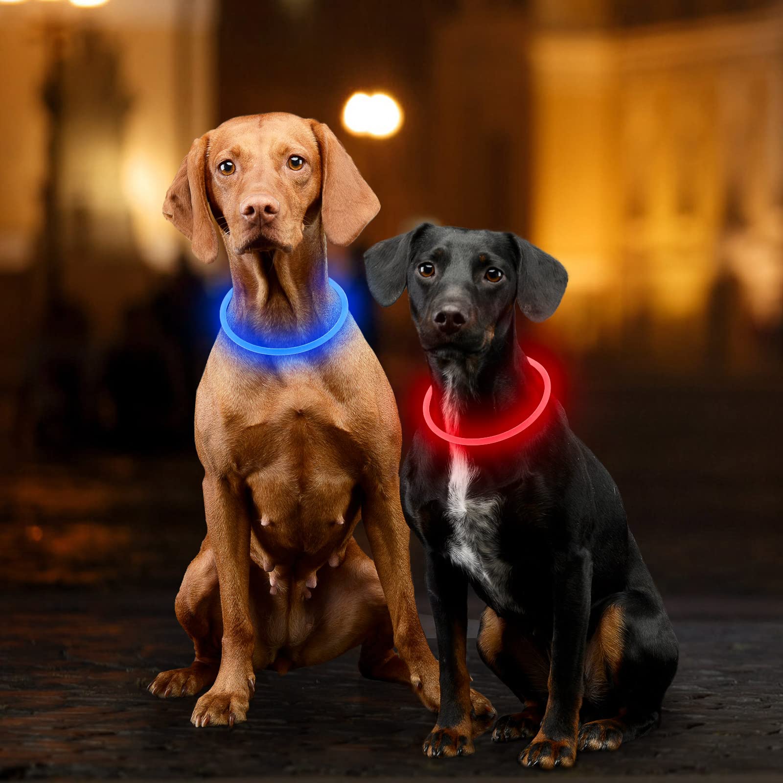 Collar Dlitk no apto para natación ni lluvias intensas.