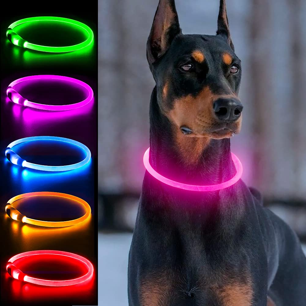 Collar iluminado Dlitk ajustable para cualquier perro