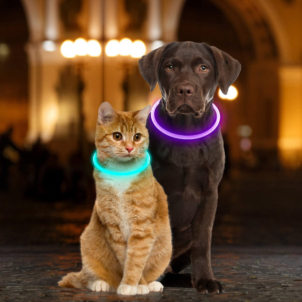 Uso exterior nocturno con collar Dlitk para perros