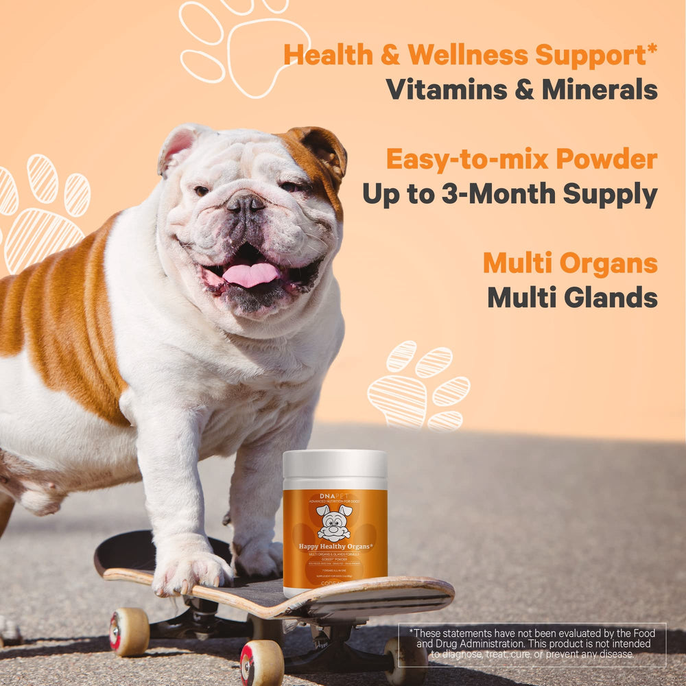 DNA PET páncreas deshidratado para perros, fuente de vitamina B5.
