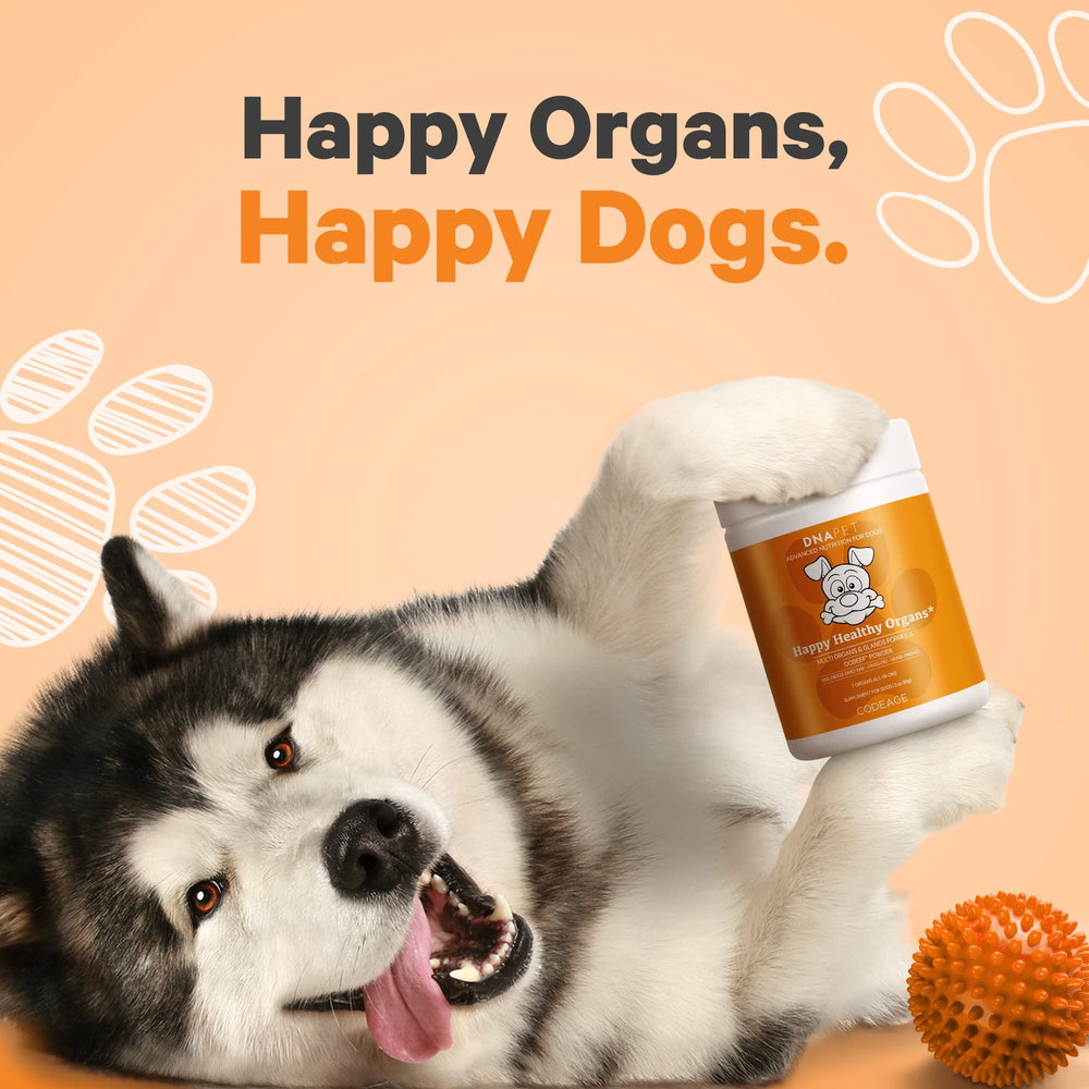 DNA PET médula ósea deshidratada para perros, aporte de nutrientes.