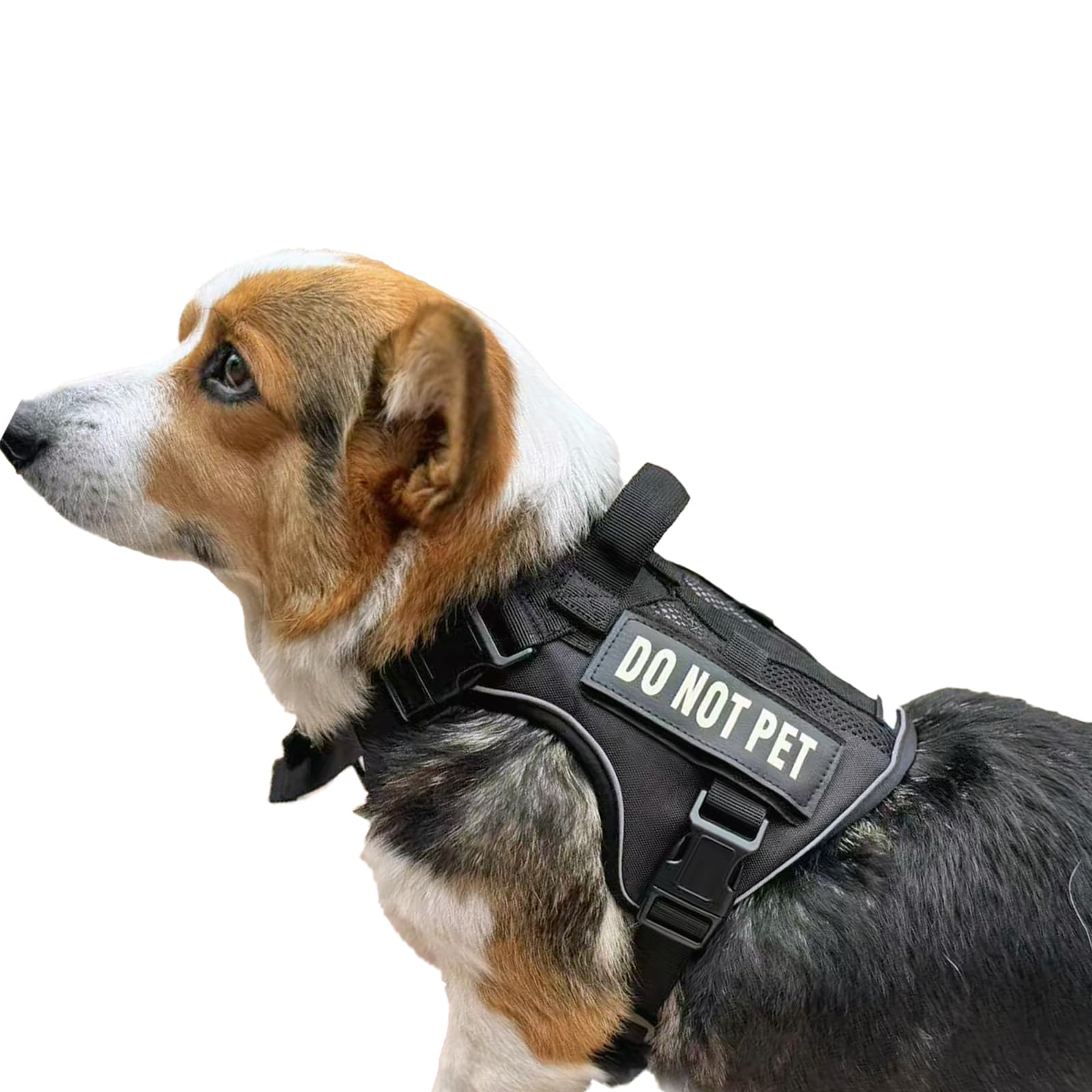 Dnallrino arnés táctico para perro pequeño con malla aire, cómodo y transpirable.