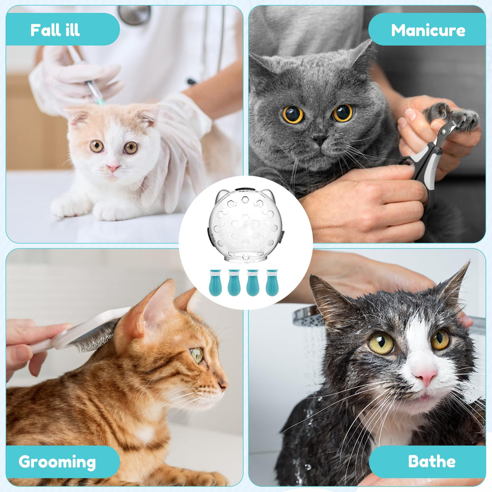 dnamyjme tallas-ajuste gatos pequeños grandes ayuda a elegir tamaño adecuado