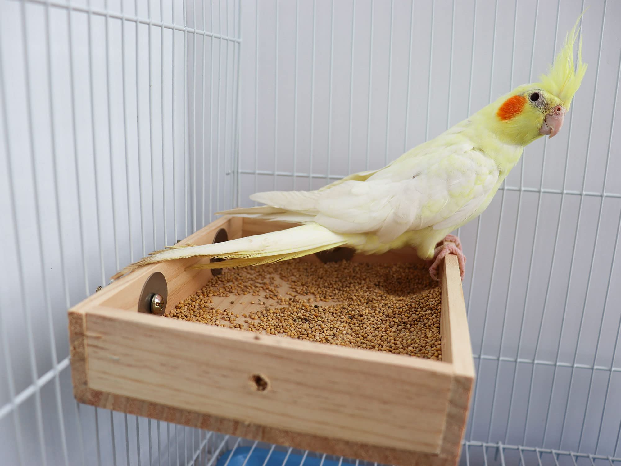 Dnoifne cuenco de alimentación en madera para aves pequeñas.