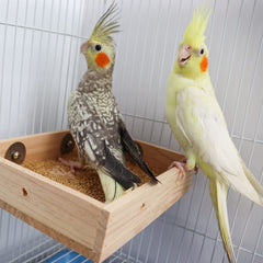 Dnoifne percha de madera natural para pajaro, duradera y no tóxica.