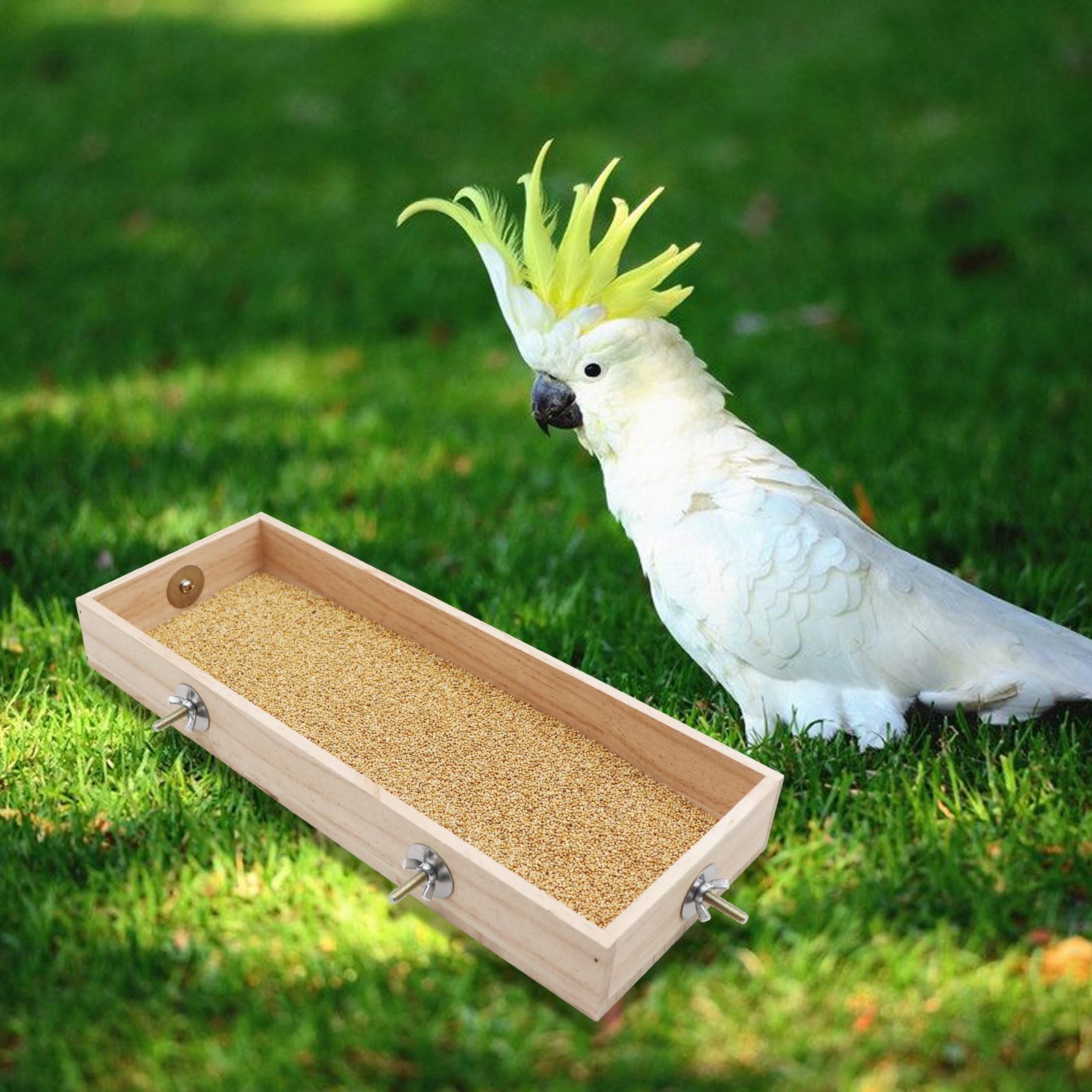 Taza de alimentación para aves de acero inoxidable Dnoifne, fácil de limpiar