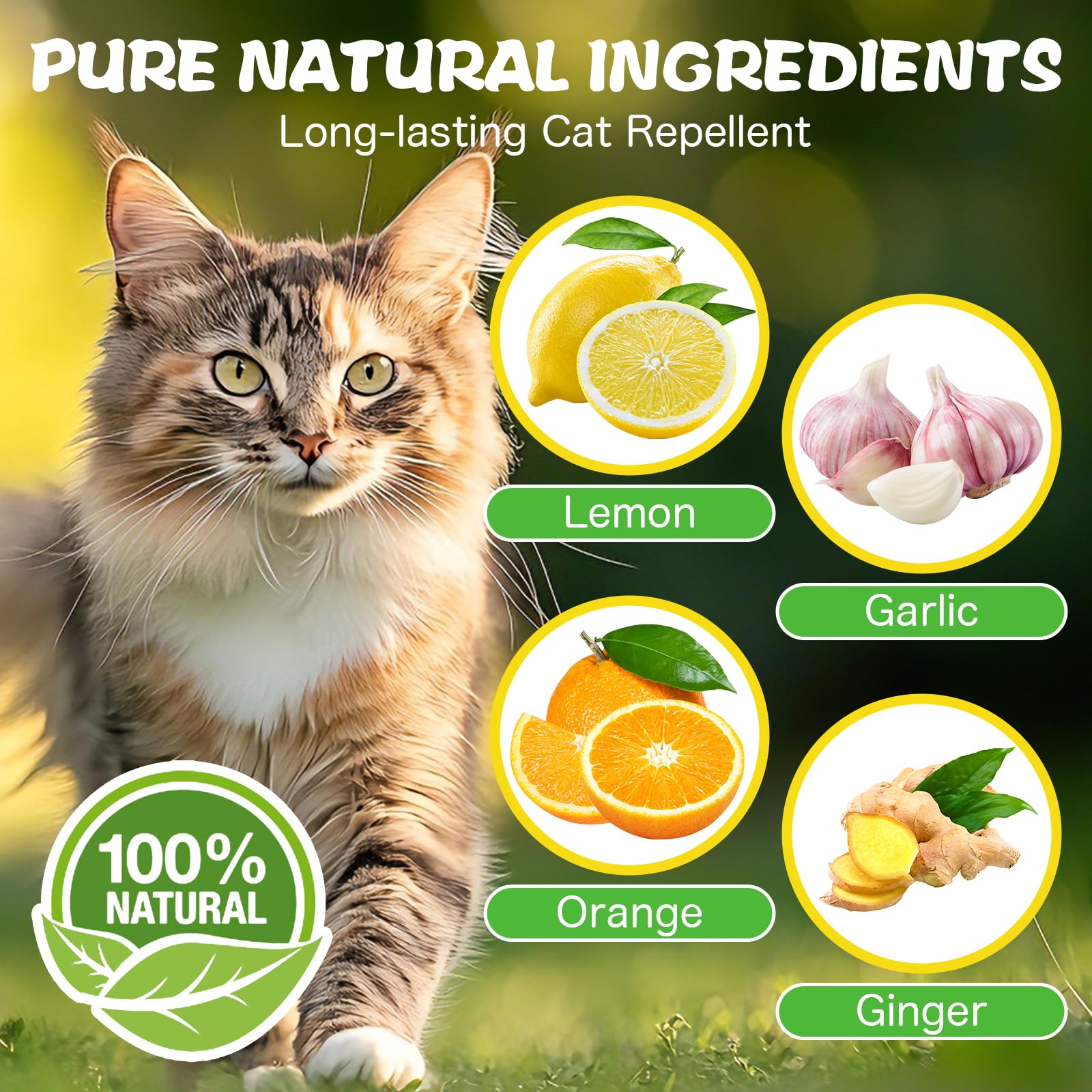 DOBYONE bolas de aceites esenciales: aroma natural que disuade gatos.