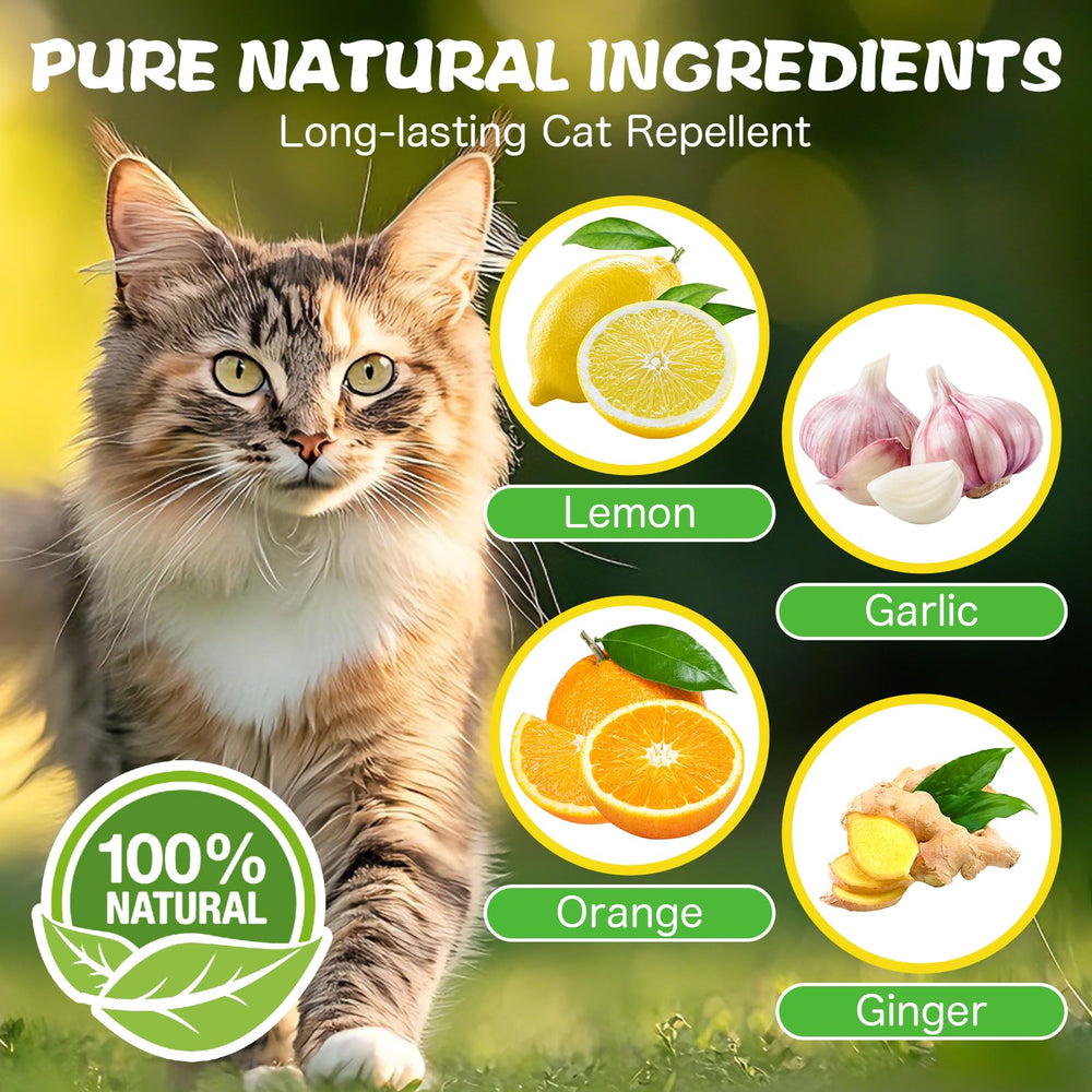 DOBYONE bolas de aceites esenciales: aroma natural que disuade gatos.