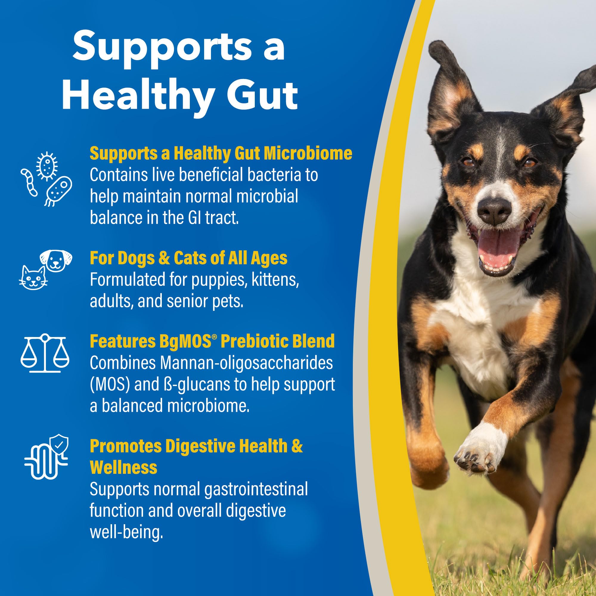 Doc Roy’s GI Synbiotics equilibrio microbiano GI para mascotas