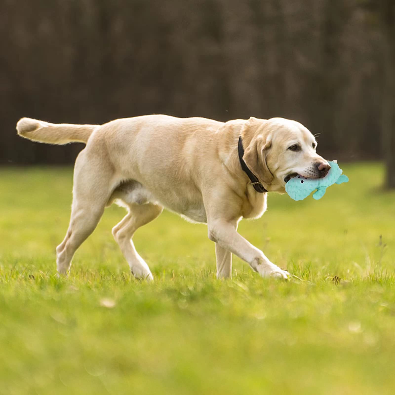 Dododola hipopótamo peluche para masticar y entretener durante horas