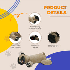 Dog Dog Pedro Pug, regalo de alegría, ideal para cumpleaños o celebraciones.