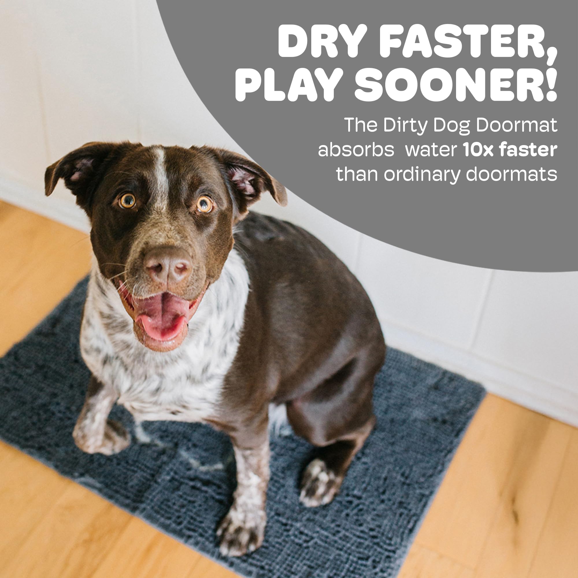 Dog Gone Smart: secado rápido para patas mojadas tras la caminata