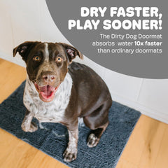 Dog Gone Smart: secado rápido para patas mojadas tras la caminata