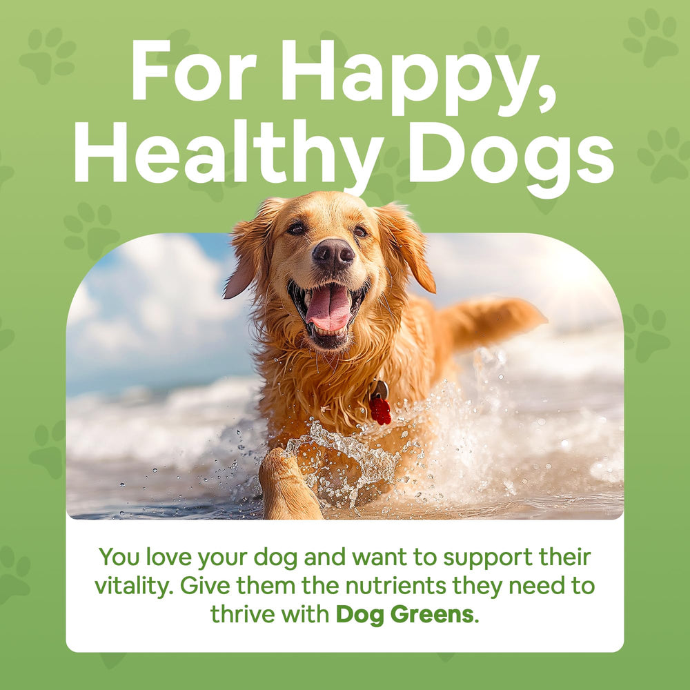 Dog Greens envase de 12 onzas, polvo para perros, uso diario.