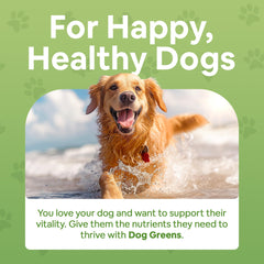 Dog Greens envase de 12 onzas, polvo para perros, uso diario.