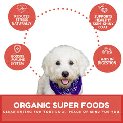 Dog Mamma's elaboración artesanal en EE. UU., lotes pequeños para calidad.
