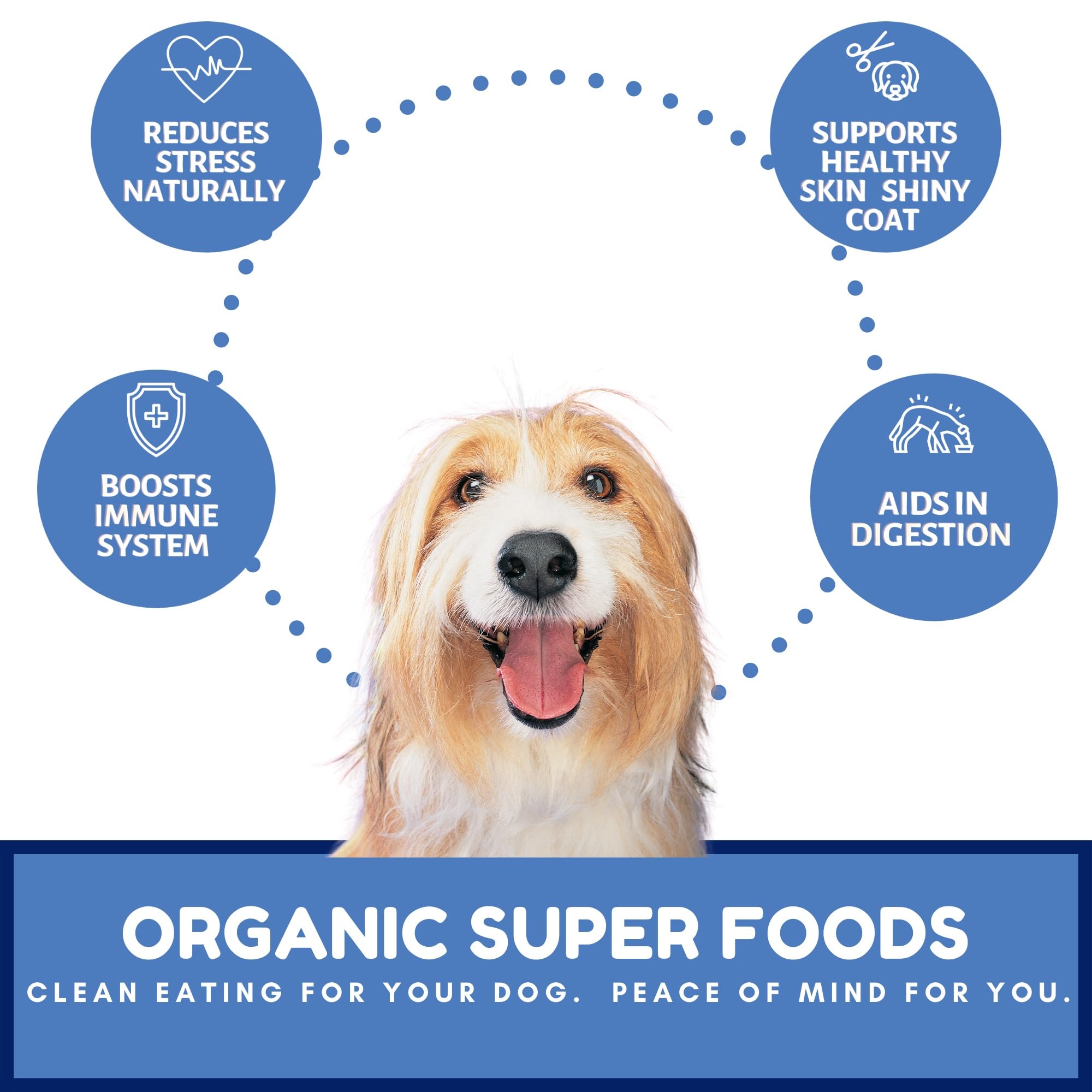Dog Mamma's Receta orgánica con miel para sabor natural