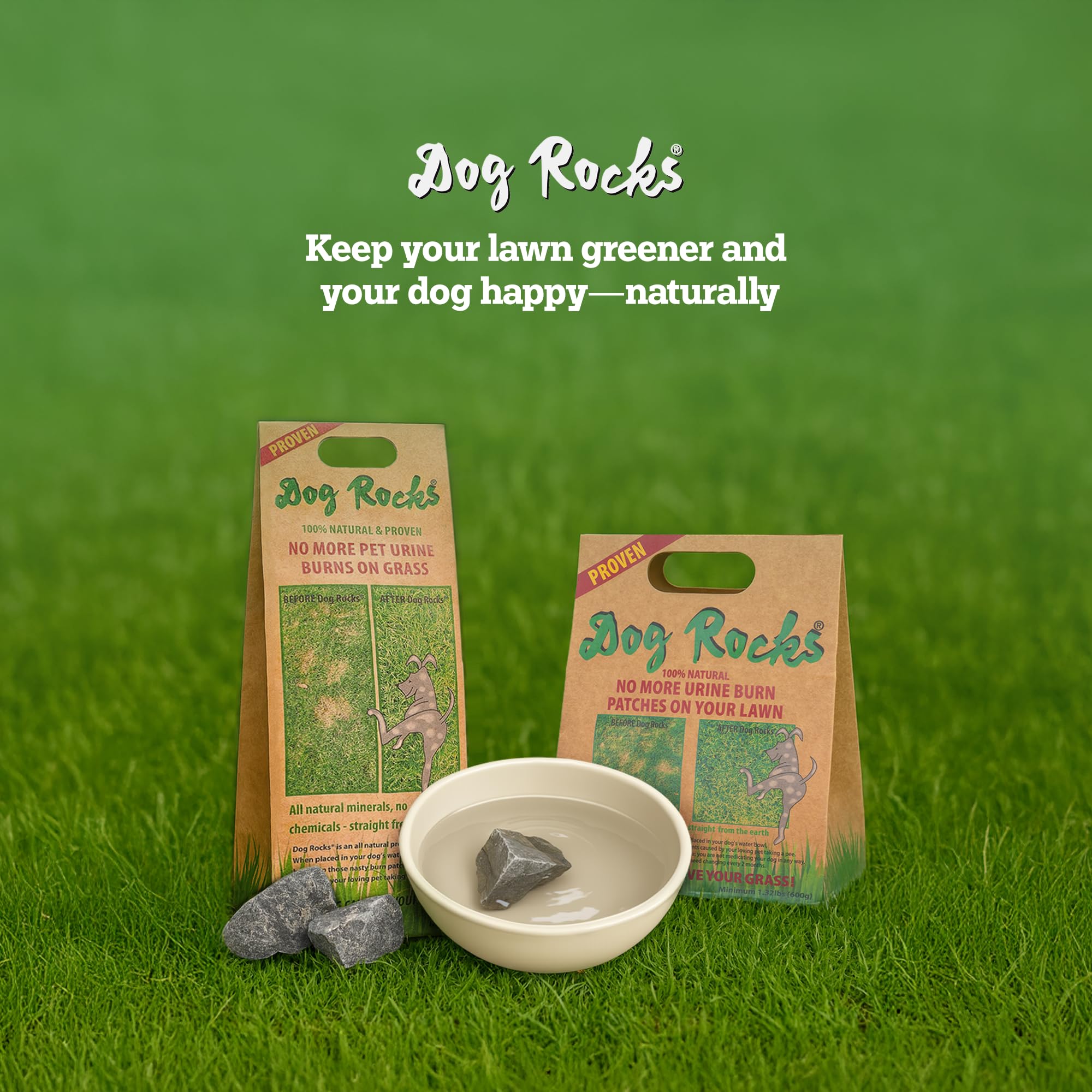Paquete de 12 fracciones de Dog Rocks para 24 meses