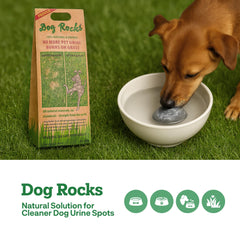 Dog Rocks en agua para disminuir quemaduras por orina en el jardín.