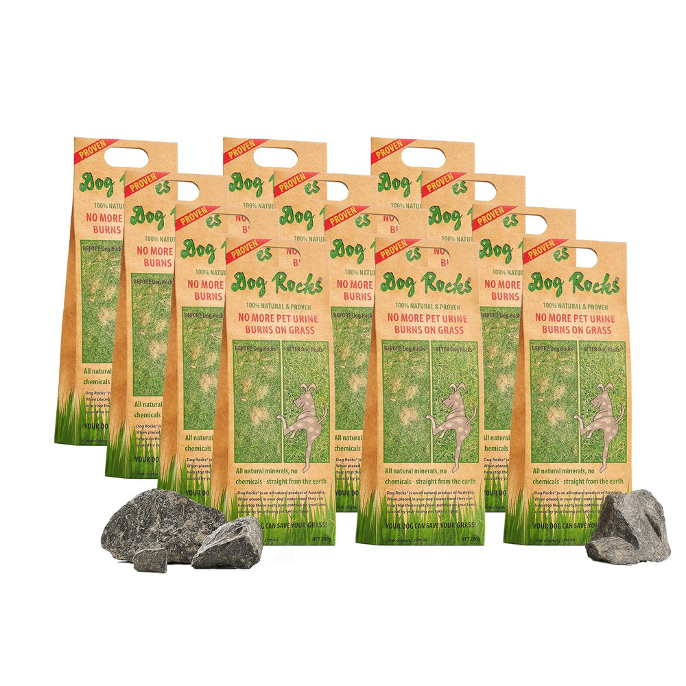 Dog Rocks en pradera verde, uso en agua para cuidar el césped