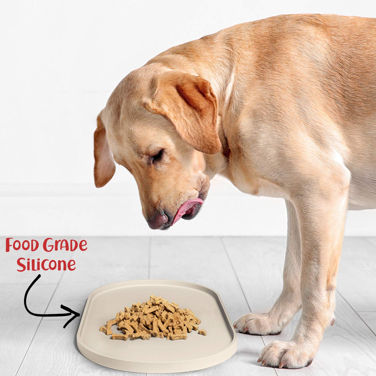 DogBuddy ideal para perros, gatos y otras mascotas pequeñas.