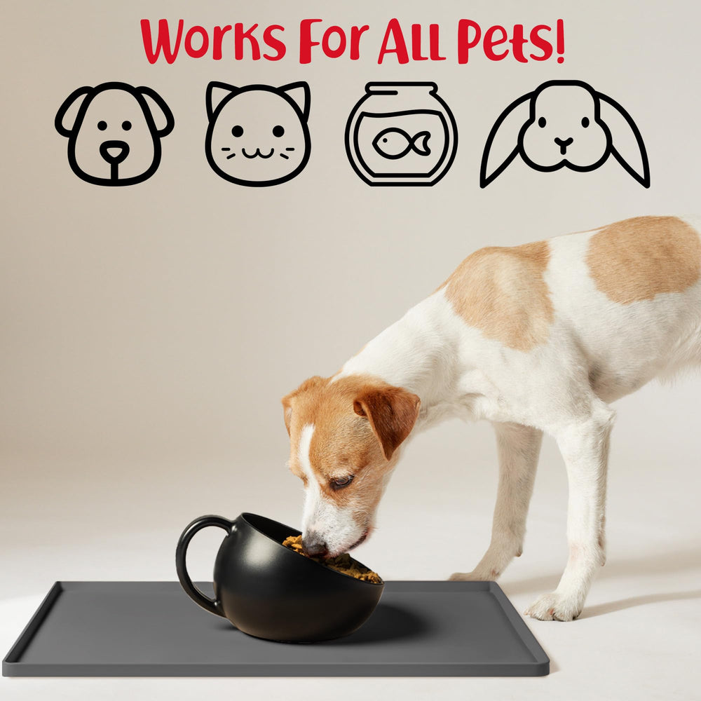 DogBuddy base antideslizante mantiene los cuencos estables.