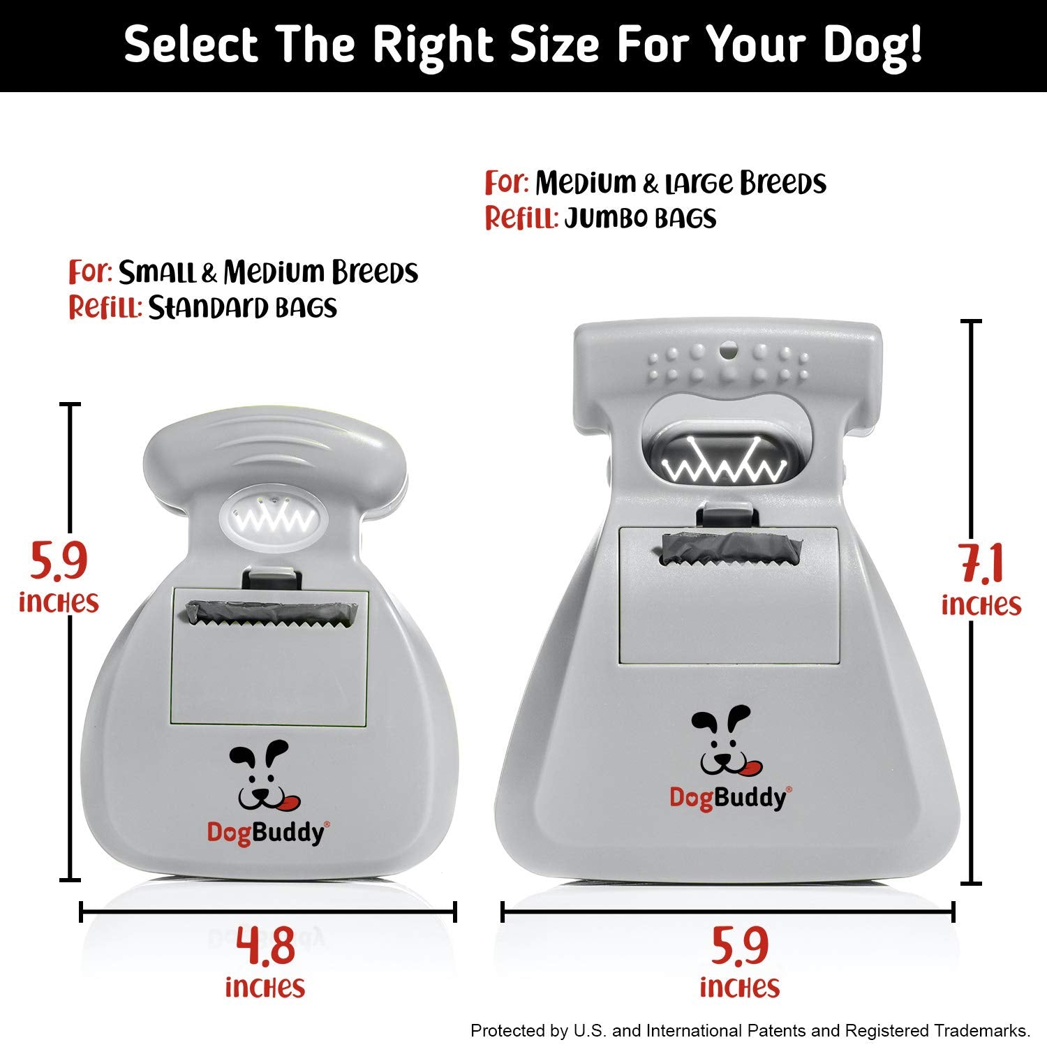 DogBuddy clip de correa para paseo práctico