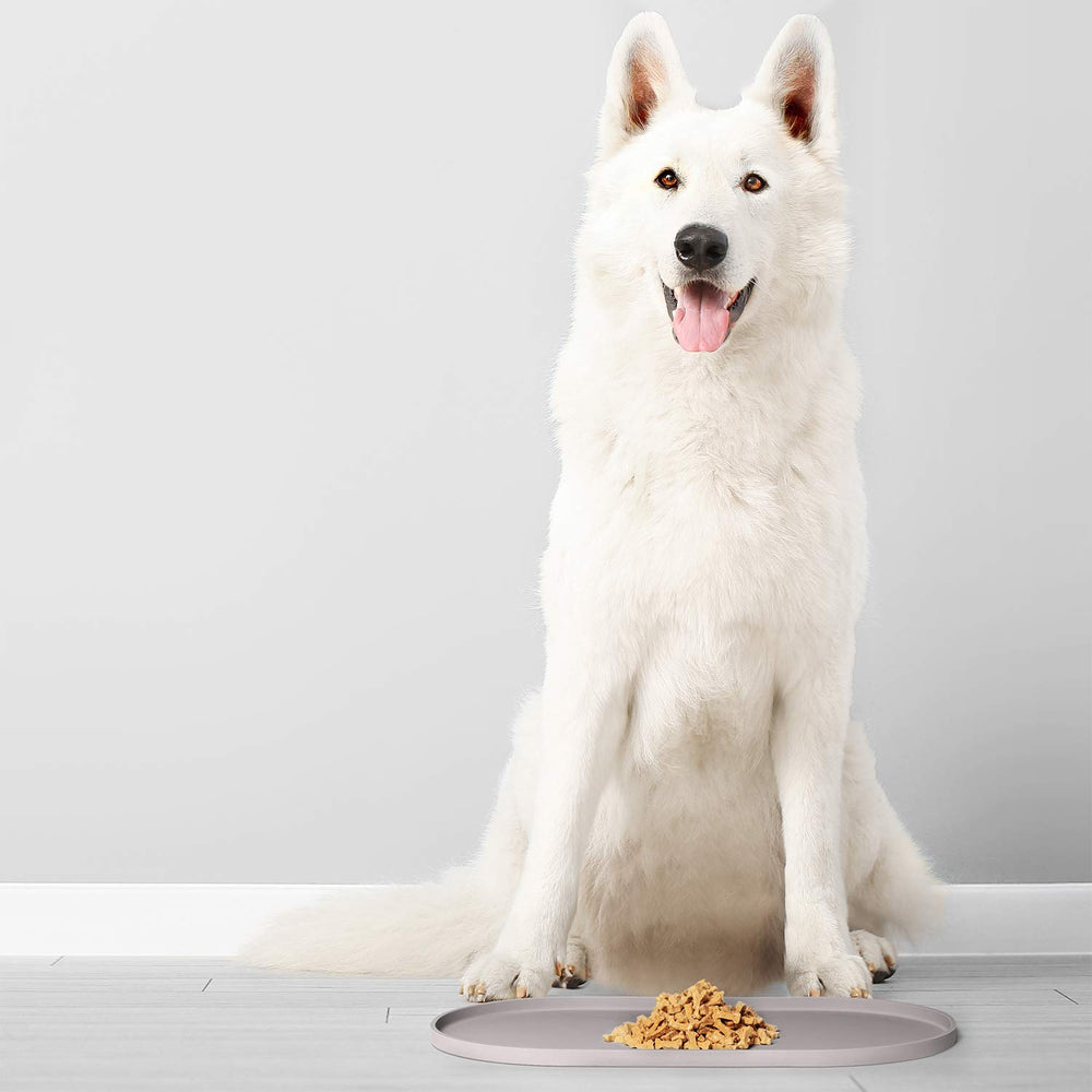 DogBuddy empresa familiar desde 2016, probada por mascotas.