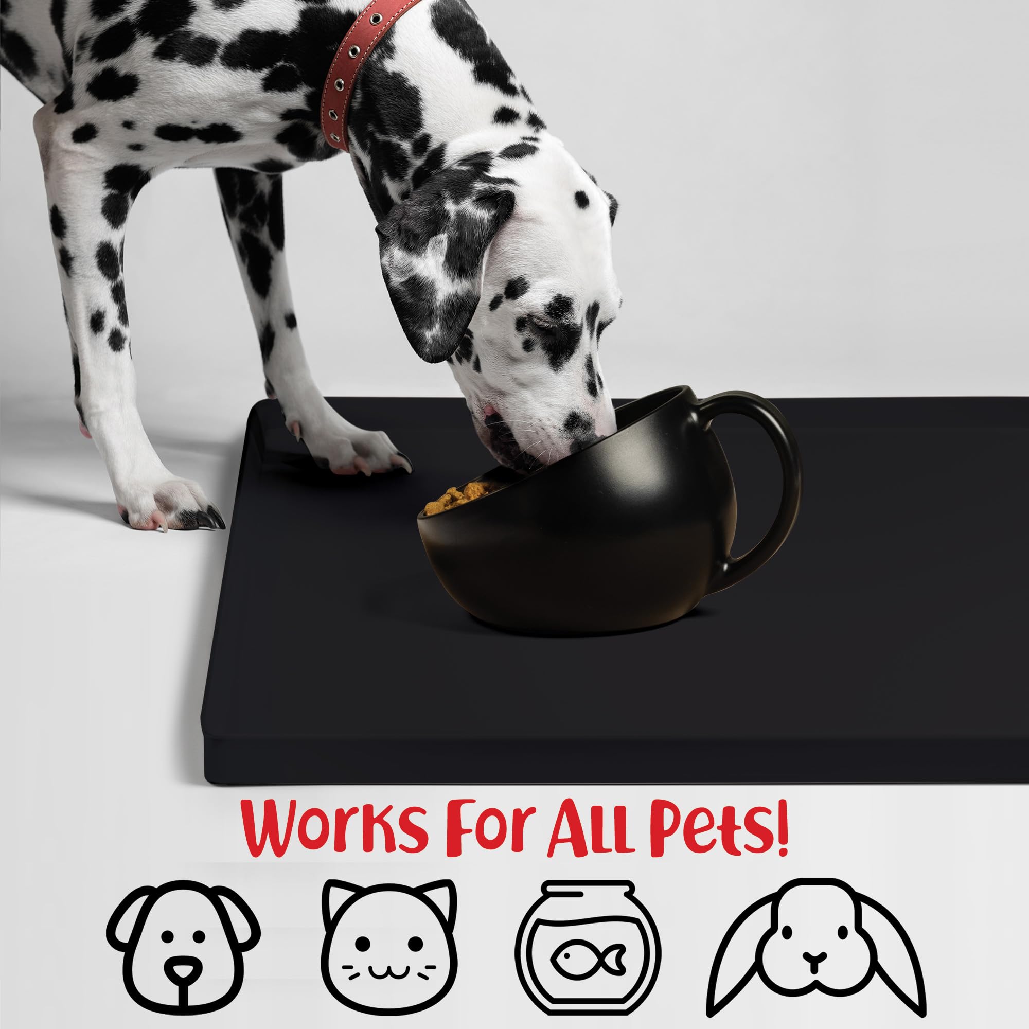 DogBuddy diseño fácil de limpiar, apto para lavavajillas.