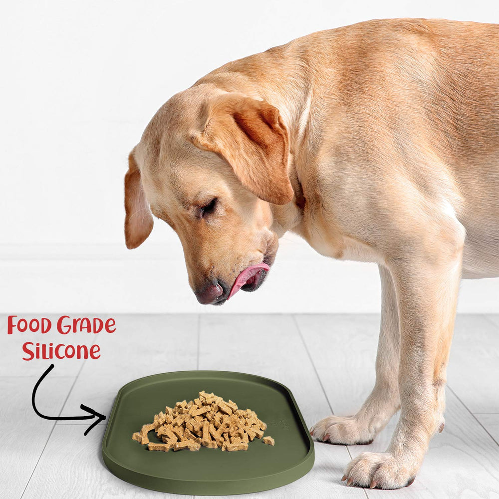 DogBuddy lavable, apto para lavavajillas y lavado a mano: limpieza rápida.