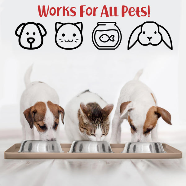 DogBuddy limpieza fácil: se limpia a mano o lavavajillas.