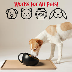 DogBuddy: Superficie lisa facilita la limpieza y evita salpicaduras.
